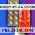 Kamagra Oral Jelly Sildenafil new01